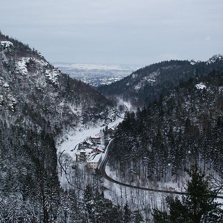 Appartamento Wohlfuehlzeit Im Zittauer Gebirge Esterno foto